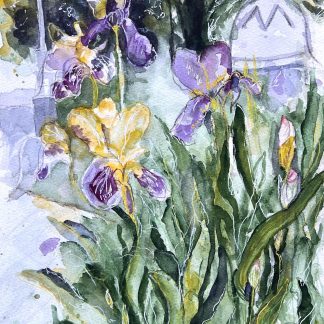 Watercolor: Irises in Bloom